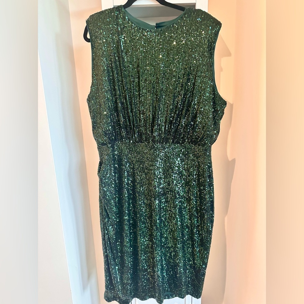 Express Green Sequin Dress